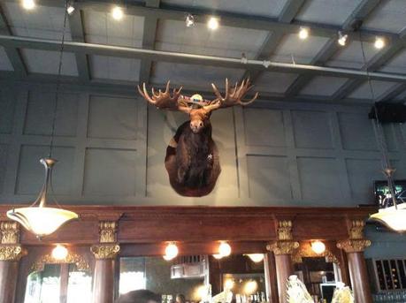 Moose head over the bar with sombrero for Cinco de Mayo