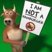 Coal company and the Great Barrier Reef