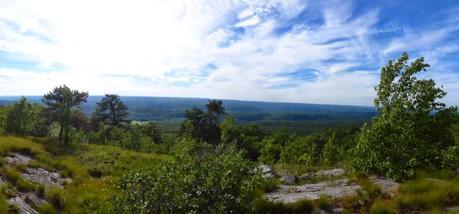 Day 65: New Jersey Baby!