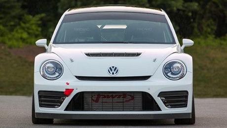 beetle-grc-