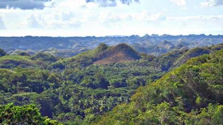 The Chocolate Hills and the Cutest Monkeys in the World