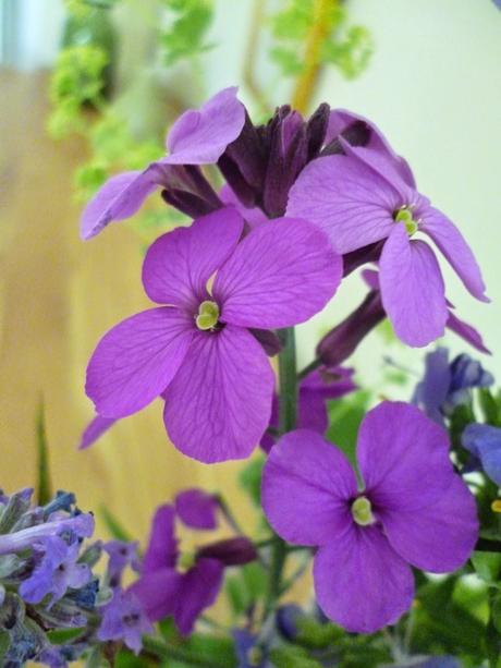 A Garden Bouquet - bringing the outdoors in