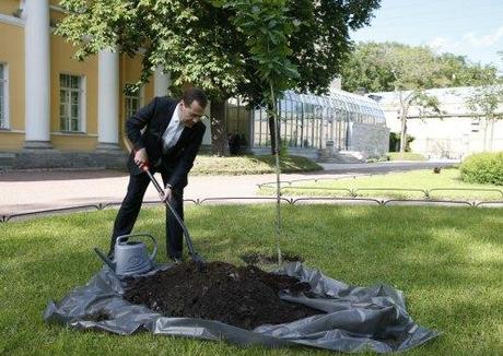 PM Medvedev planted a tree on the estate grounds.