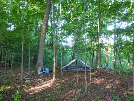 Day 66: They're Baack...