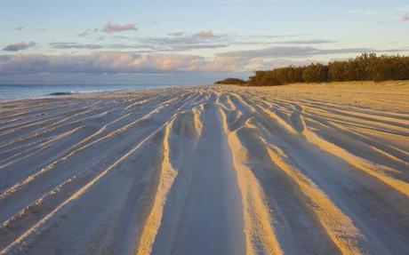 Moreton Island, An Alphabetical Adventure: Q-Z