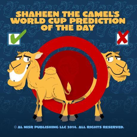 Gulf News: Shaheen the camel and those World Cup predictions