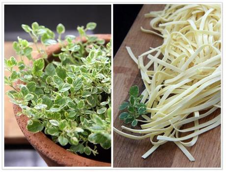 Lemon thyme and pasta