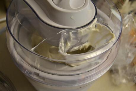 Homemade Fat Free Frozen Yoghurt