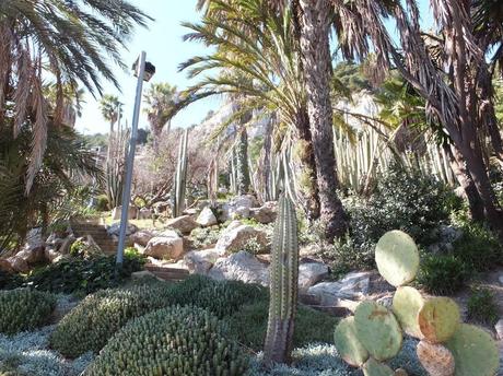 The Car, The Commercial, and a Stunning Succulent Garden