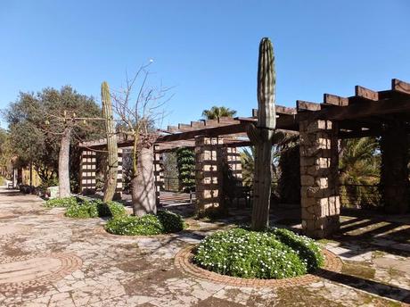 The Car, The Commercial, and a Stunning Succulent Garden