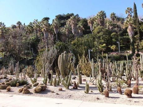 The Car, The Commercial, and a Stunning Succulent Garden