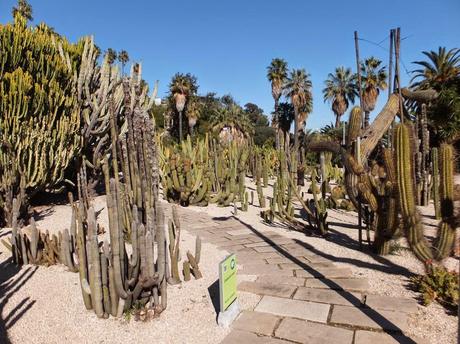 The Car, The Commercial, and a Stunning Succulent Garden