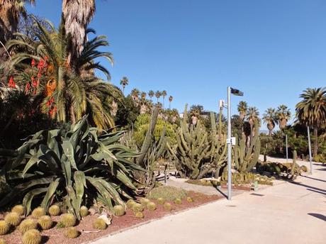 The Car, The Commercial, and a Stunning Succulent Garden