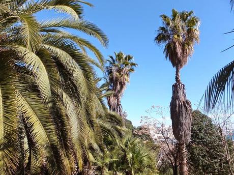 Mossèn Costa i Llobera Gardens