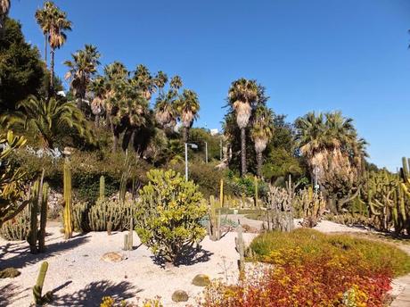 The Car, The Commercial, and a Stunning Succulent Garden