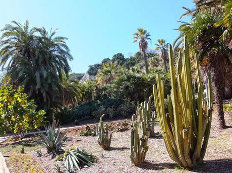 Mossèn Costa i Llobera Gardens