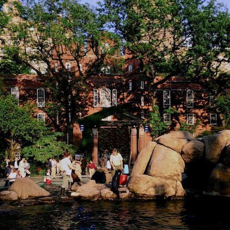 seals_FeedMeDearly (1)