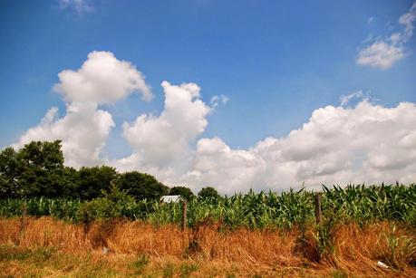 Wilder Pictures + Beatz: The Landscape of Tennessee and Kentucky (and) What to Listen to on a Southern Road Trip