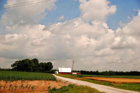 Wilder Pictures + Beatz: The Landscape of Tennessee and Kentucky (and) What to Listen to on a Southern Road Trip