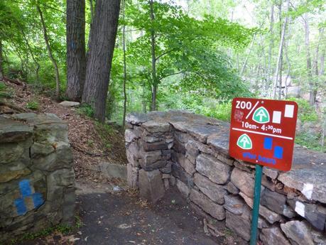 Day 68: A New York Marathon