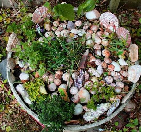 Seashells-Bucket-Planter-Garden