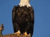 Successes Progressive-Left Zionism: Speaking Truth