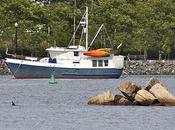 Boat, Some Rocks, Shore