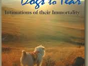 Give Hearts Dogs Tear: Imitations Their Immortality Alston Chase