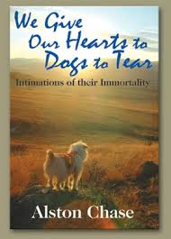 WE GIVE OUR HEARTS TO DOGS TO TEAR: IMITATIONS OF THEIR IMMORTALITY BY ALSTON CHASE