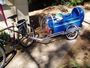 Bicycle Trailer with Kids