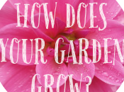 {How Does Your Garden Grow Lettuce Watch}