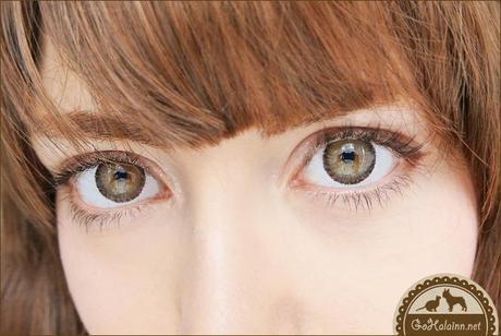 Sexy Vision #SV-109 Nudy Brown Circle Lenses Review