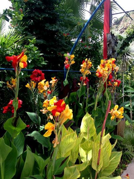 water love ilovegreeninspiration_negombo_11