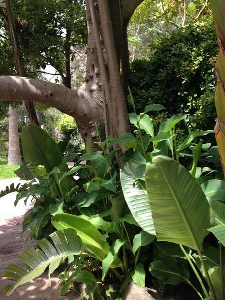 water love ilovegreeninspiration_negombo_9