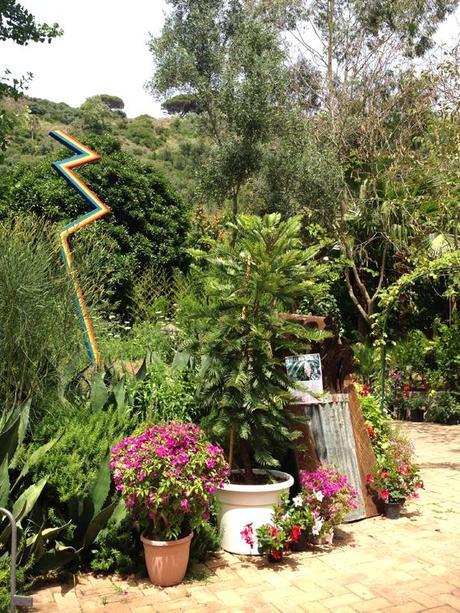 water love ilovegreeninspiration_negombo_10