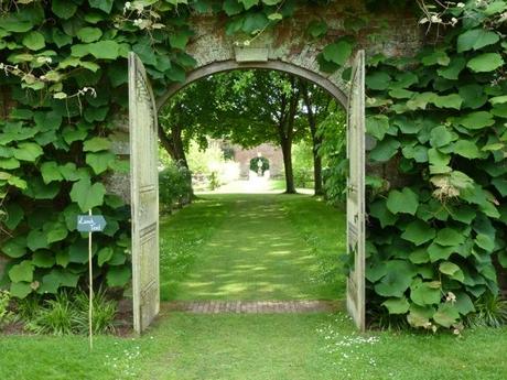 Petworth gardens looking verdant in the height of summer