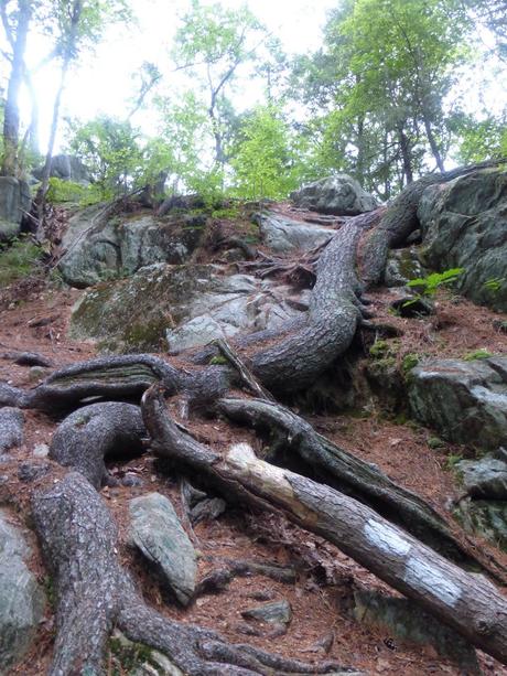 Day 70: Even The Rocks Are Sweating