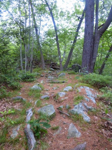 Day 70: Even The Rocks Are Sweating