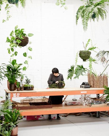 PLACES | A special plant store in Australia