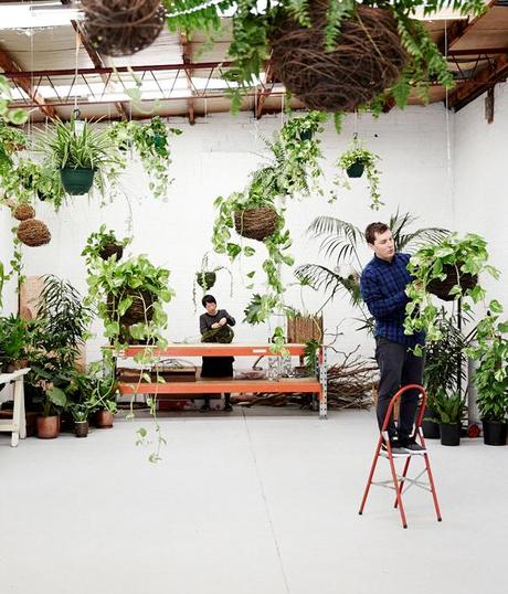 PLACES | A special plant store in Australia