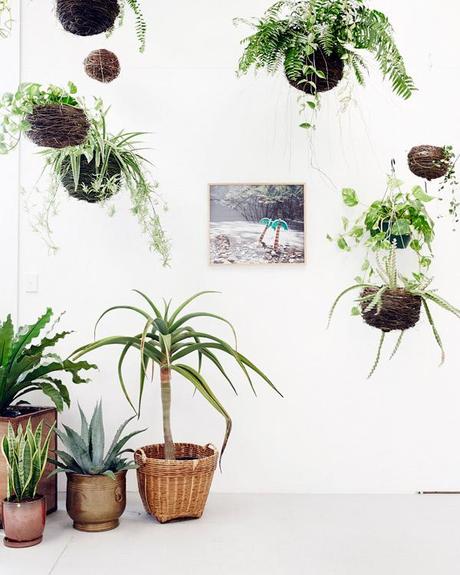 PLACES | A special plant store in Australia