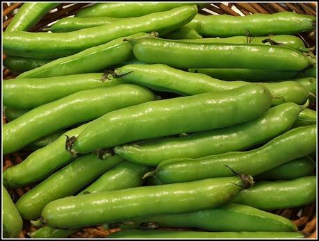 Broad Beans (again)