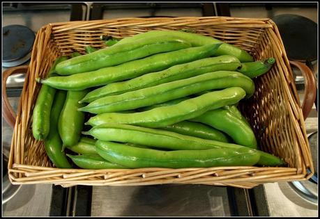 Broad Beans (again) Broad Beans (again)