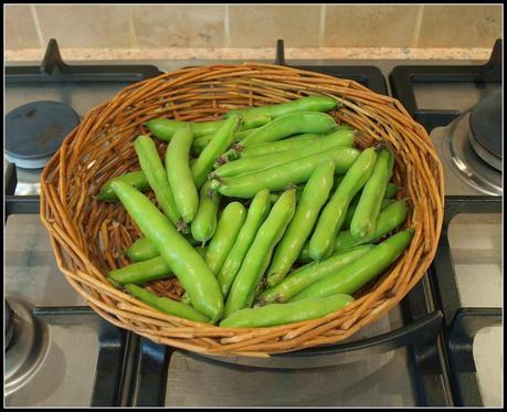 Broad Beans (again) Broad Beans (again)
