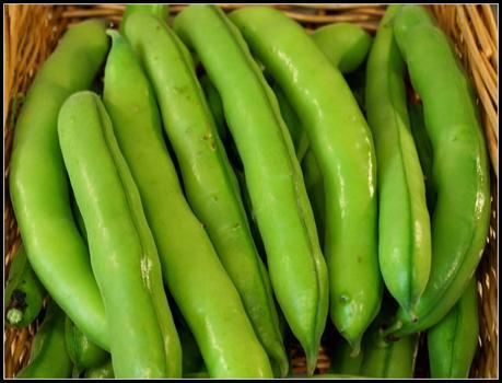 Broad Beans (again) Broad Beans (again)
