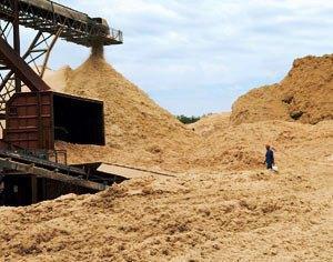 bagasse mounds