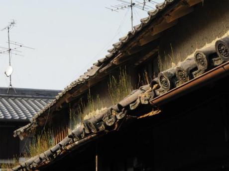 P5310241 豪商屋敷居並ぶ今井町，再訪 / Imai, Residences of wealthy merchants stand in rows