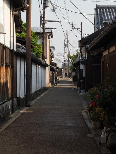 P5310295 豪商屋敷居並ぶ今井町，再訪 / Imai, Residences of wealthy merchants stand in rows