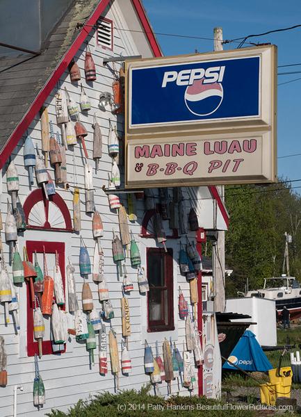 Lobster Pound & BBQ Pit © 2014 Patty Hankins