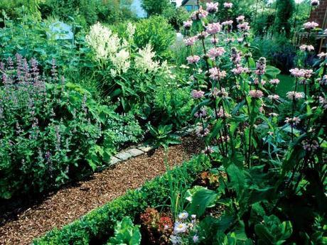 Ideas on Landscaping with Gravel/Rocks as a Ground Cover.